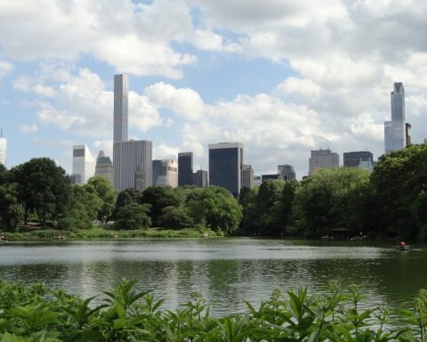 Centralni park v New Yorku