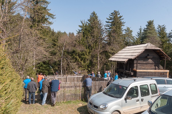 Obrezovanje in čiščenje starega drevesa – jablane sorte krivopecelj. Na fotografiji so člani Sadjarskega društva Mežiške doline, strokovnjak za obrezovanje Andrej Soršak iz KGZ OE Maribor in obiskovalci delavnice.